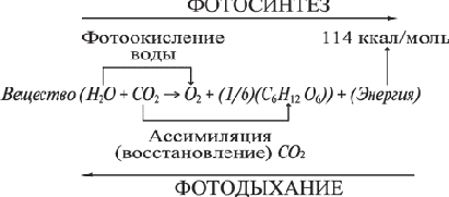 Функционирование и развитие системы